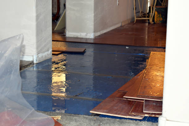 Professional Basement Flood Cleanup technician working in Norton, OH